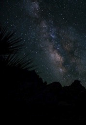 Stacks Image 187